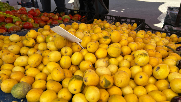 Fiyatı dudak uçuklatıyordu, limonda fiyat ne oldu?